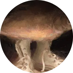 ball_knowledge's avatar