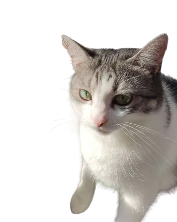 Hap2022py's avatar