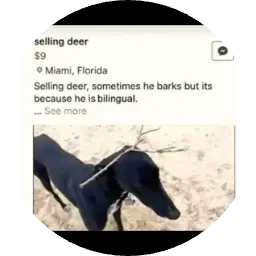 Dwings7520's avatar